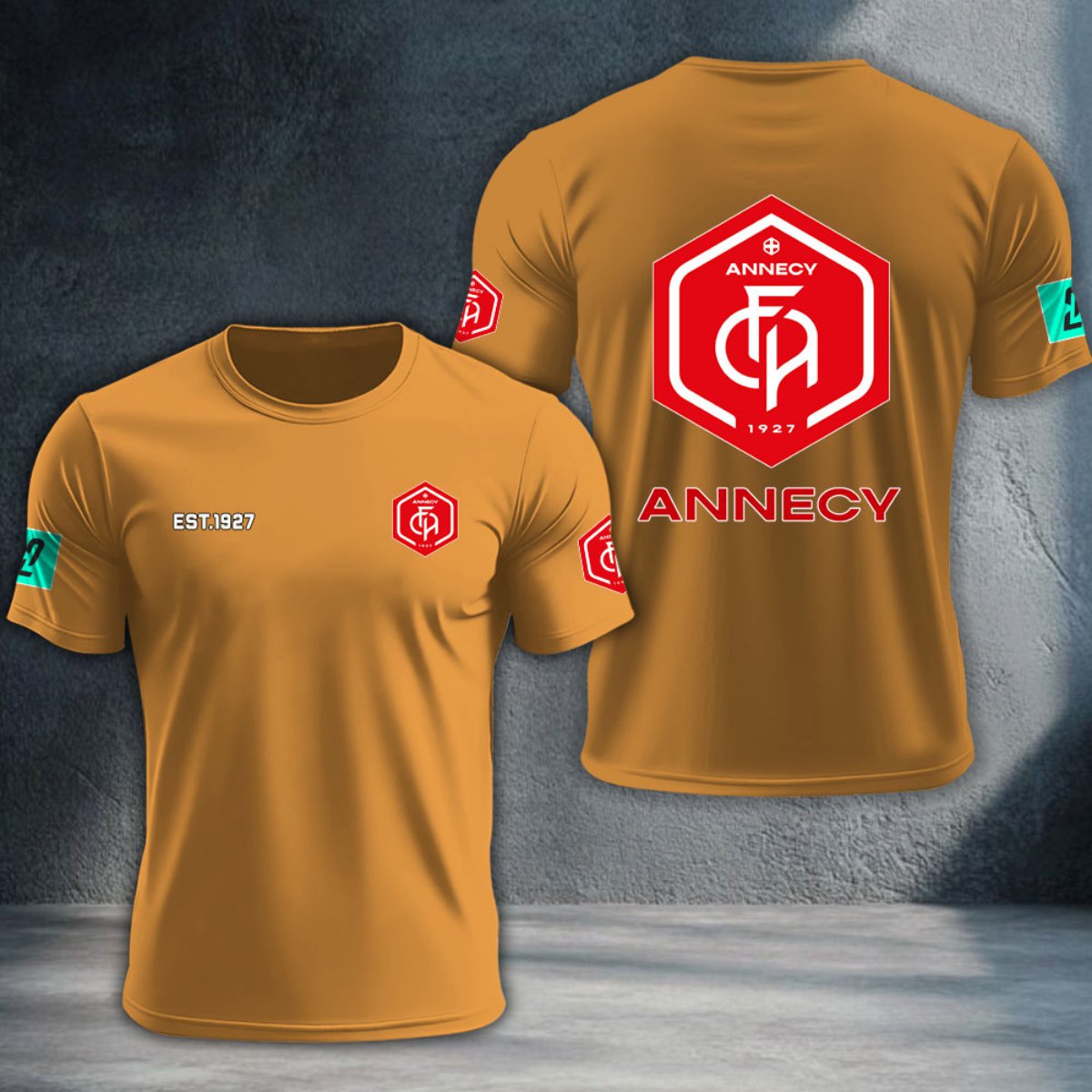 FC Annecy DTNTA10367
