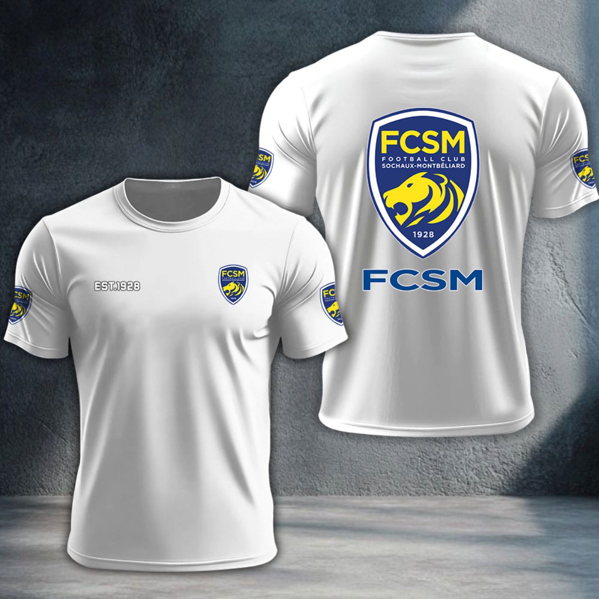 FC Sochaux-Montbeliard DTNTA10369
