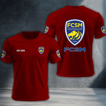 FC Sochaux-Montbeliard DTNTA10369