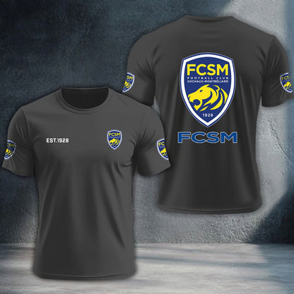 FC Sochaux-Montbeliard DTNTA10369