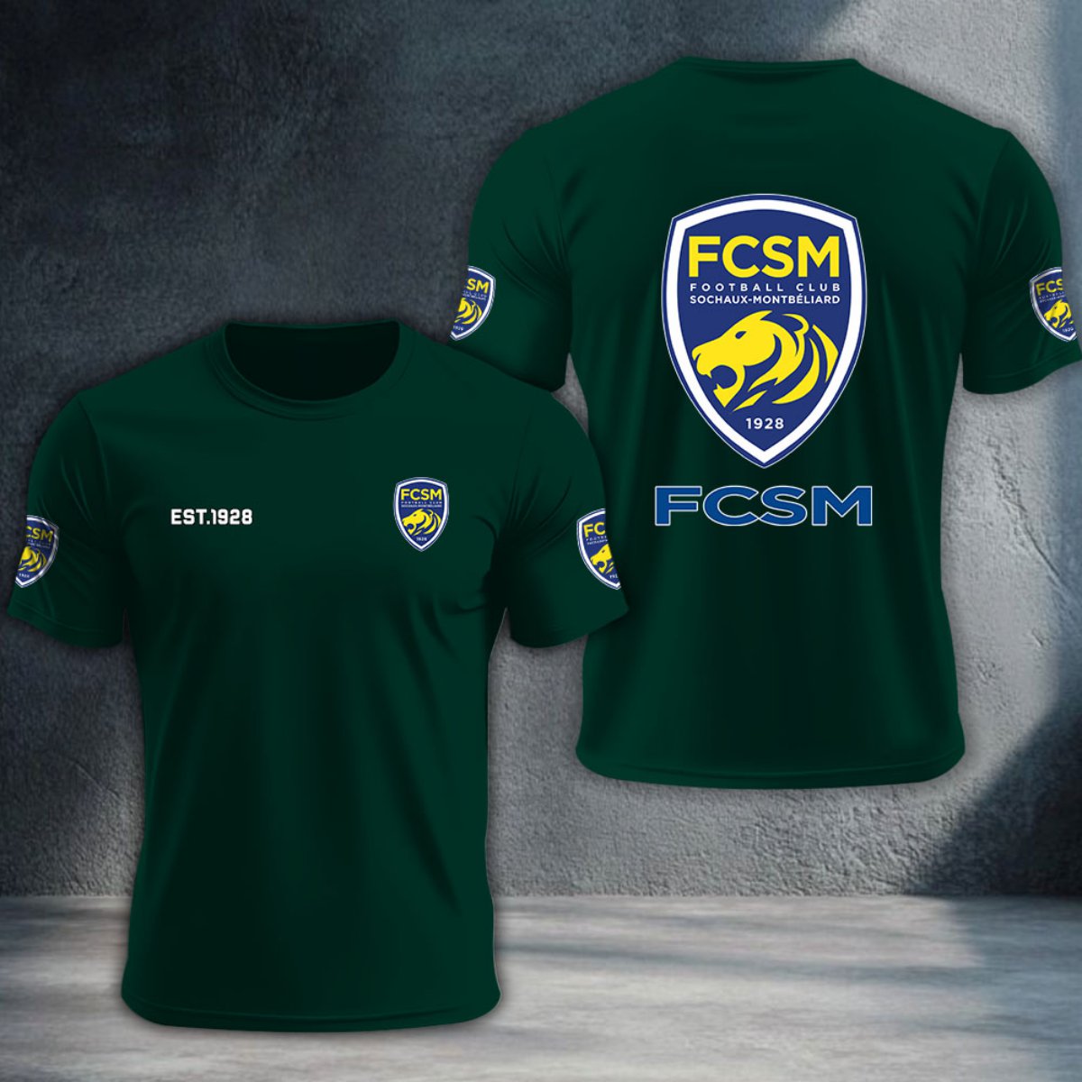 FC Sochaux-Montbeliard DTNTA10369