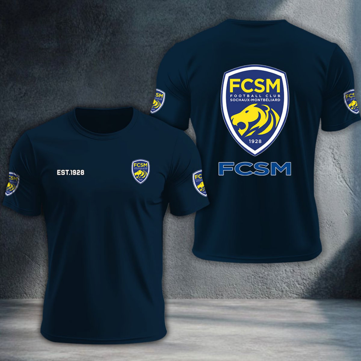 FC Sochaux-Montbeliard DTNTA10369