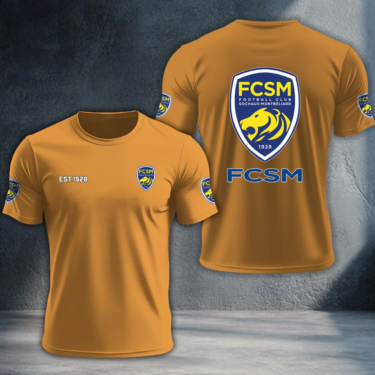 FC Sochaux-Montbeliard DTNTA10369