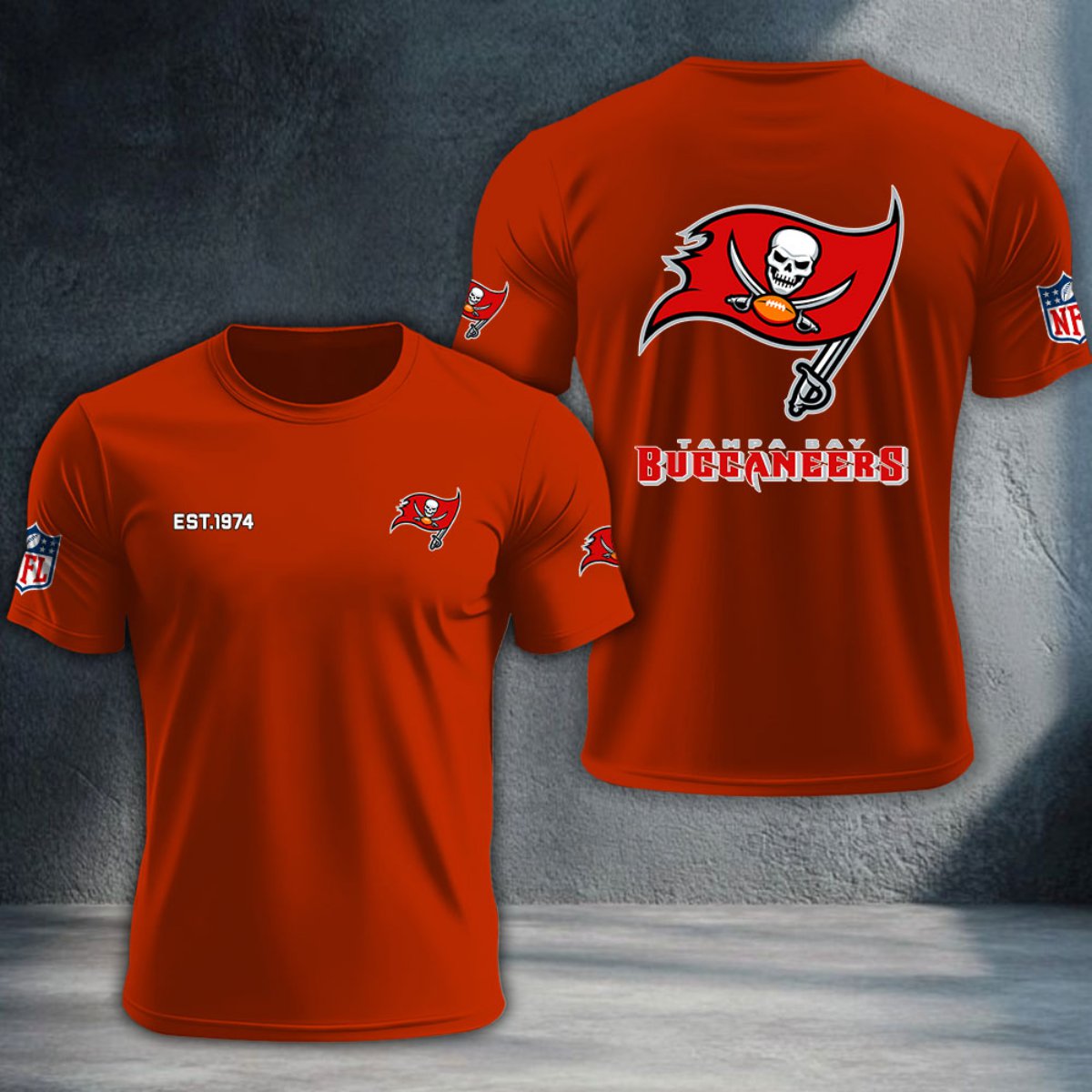 Tampa Bay Buccaneers DTNTA10464