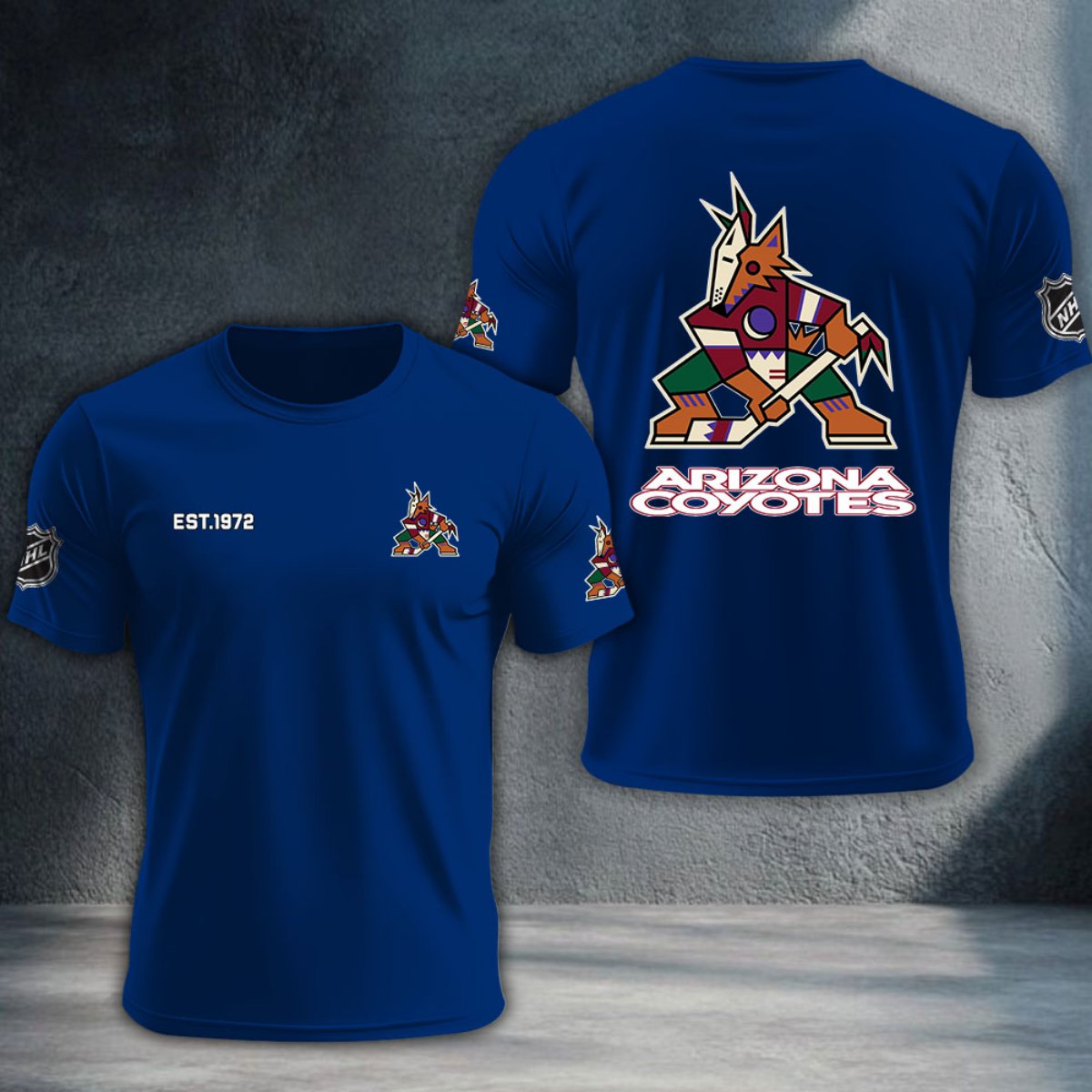 Arizona Coyotes DTNTA10468