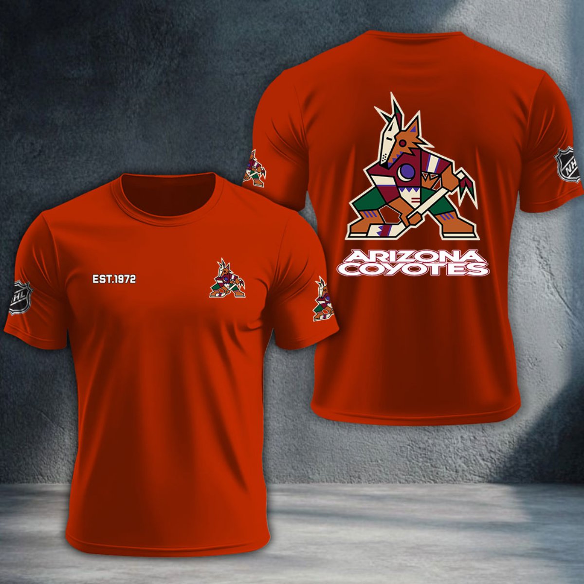 Arizona Coyotes DTNTA10468