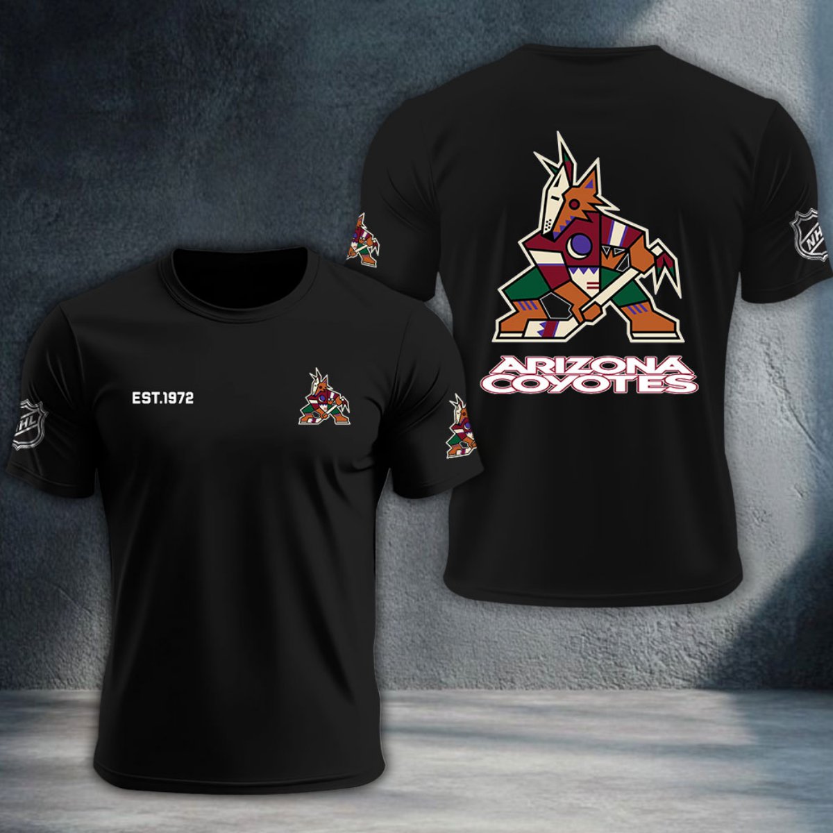 Arizona Coyotes DTNTA10468