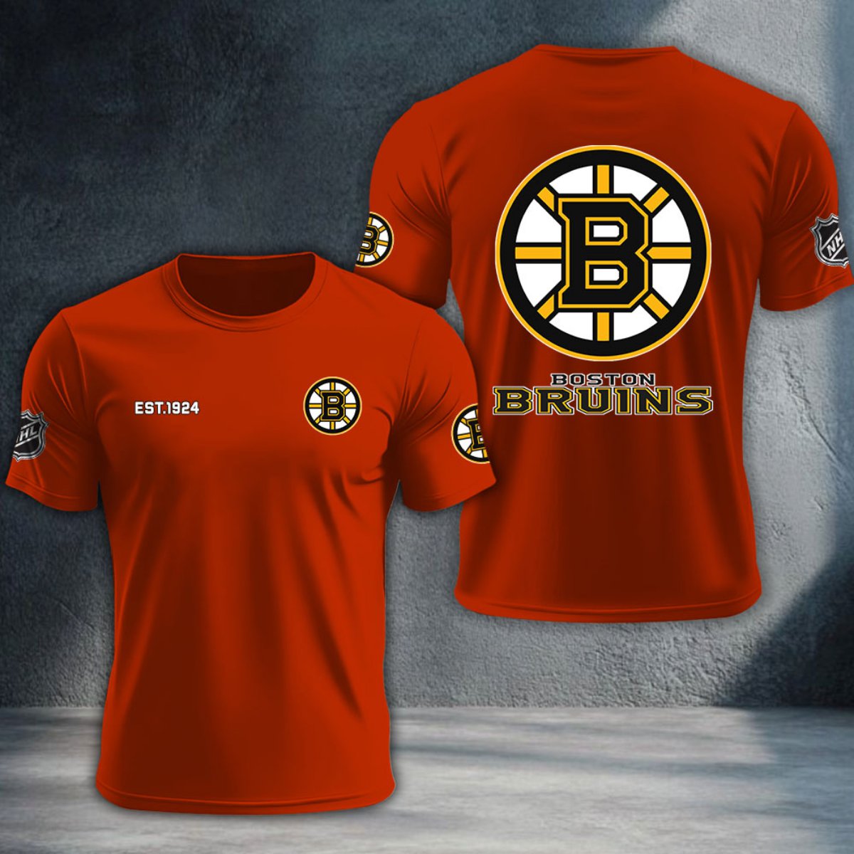 Boston Bruins DTNTA10469