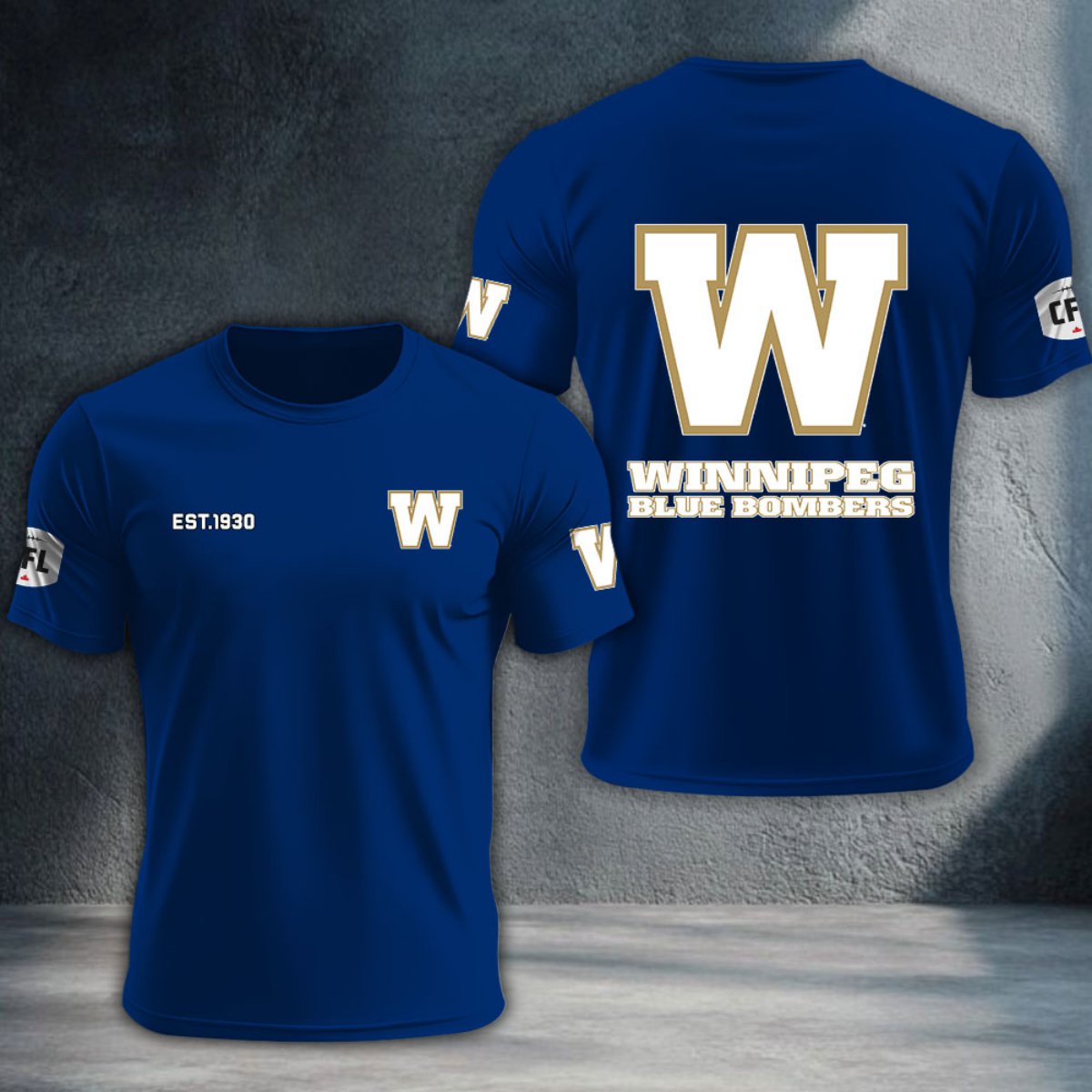 Winnipeg Blue Bombers DTNTA10507