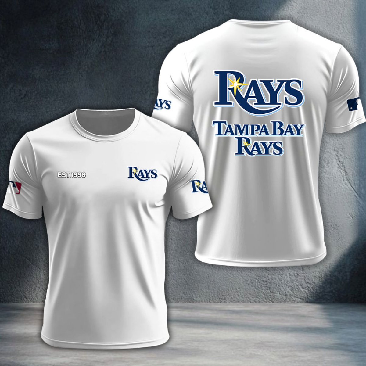 Tampa Bay Rays DTNTA10534