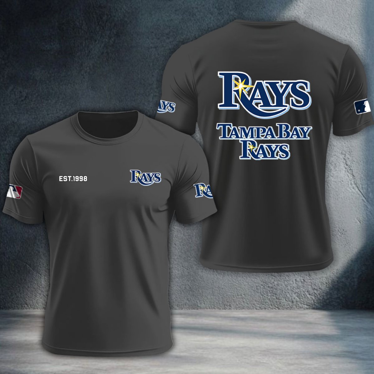 Tampa Bay Rays DTNTA10534