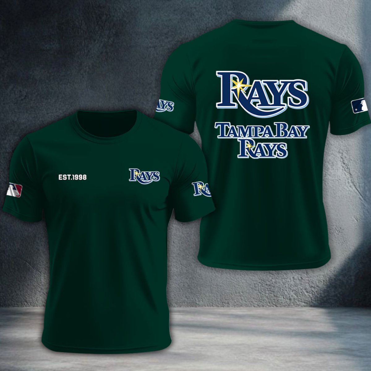Tampa Bay Rays DTNTA10534