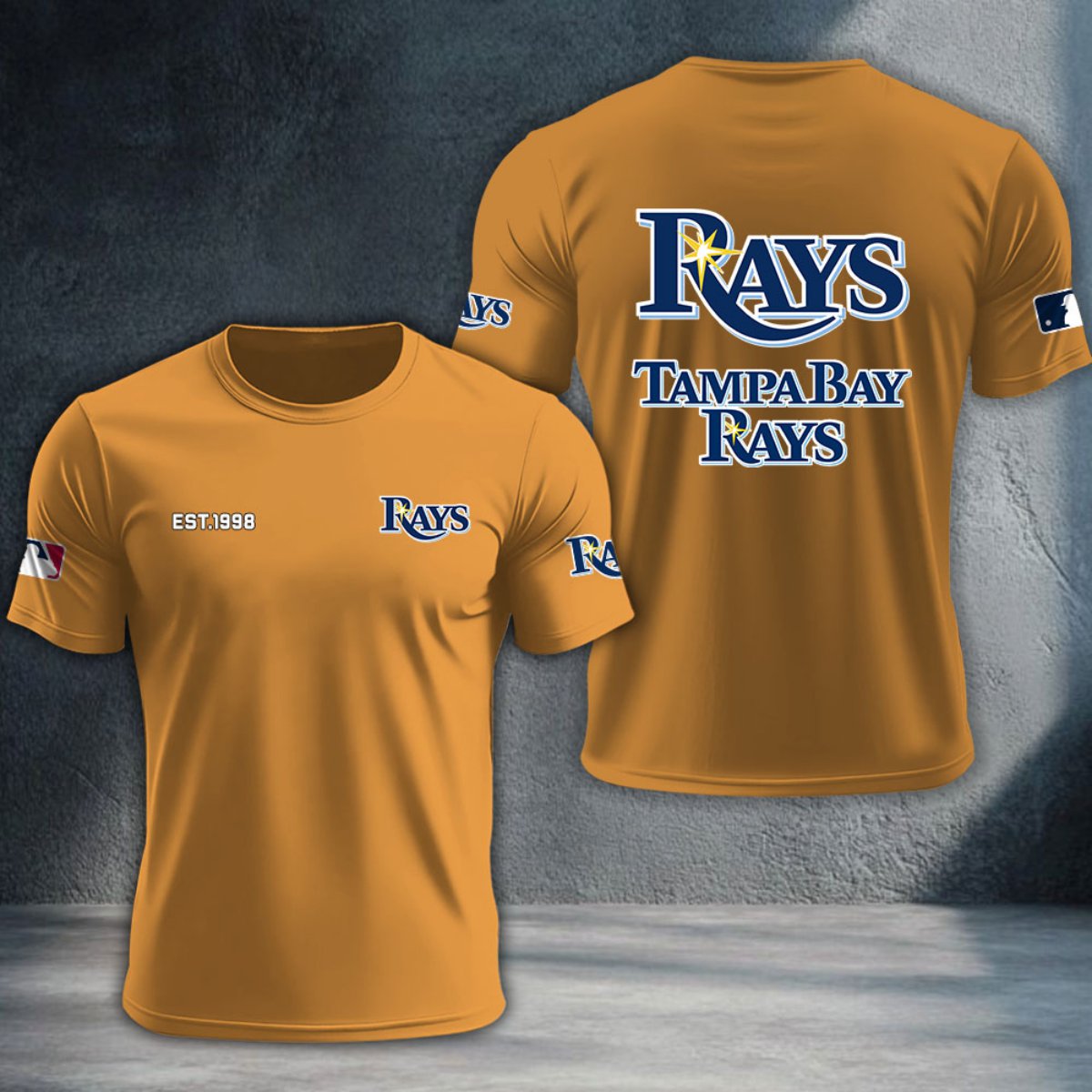 Tampa Bay Rays DTNTA10534