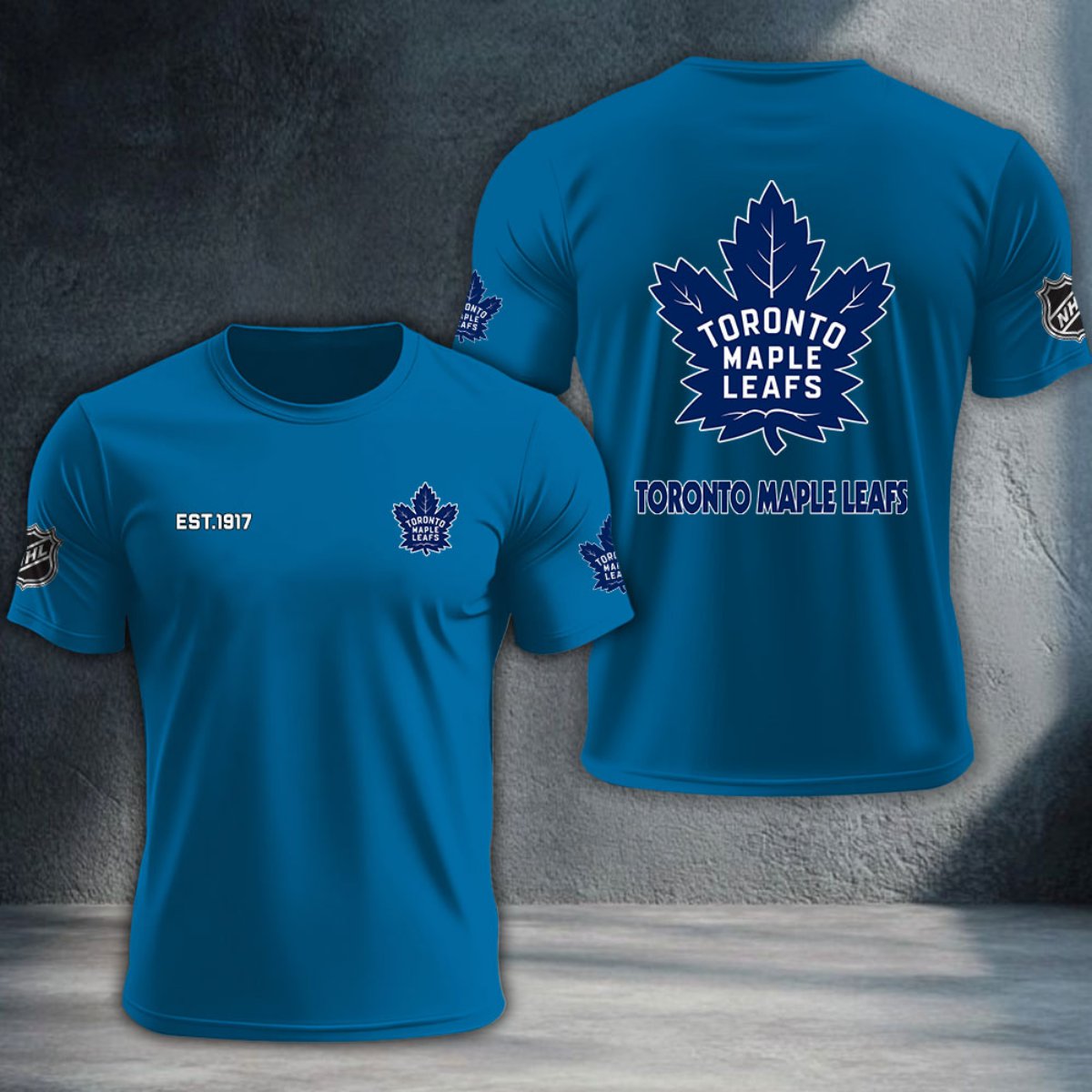Toronto Maple Leafs DTNTA10494