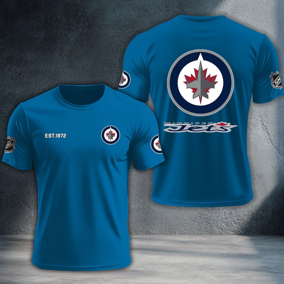 Winnipeg Jets DTNTA10498