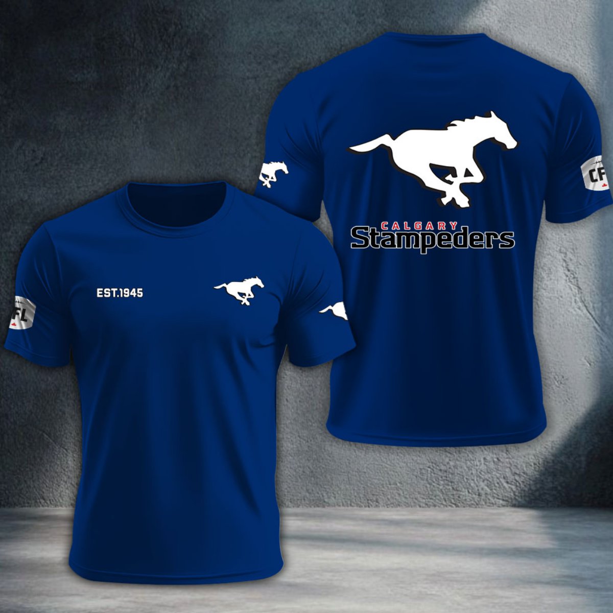 Calgary Stampeders DTNTA10500