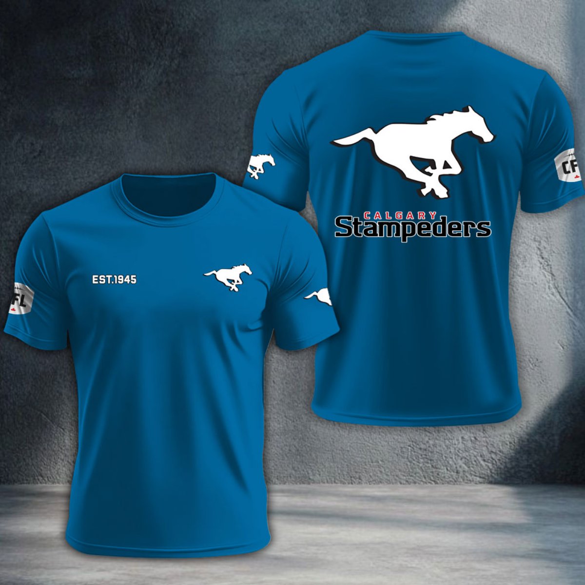 Calgary Stampeders DTNTA10500