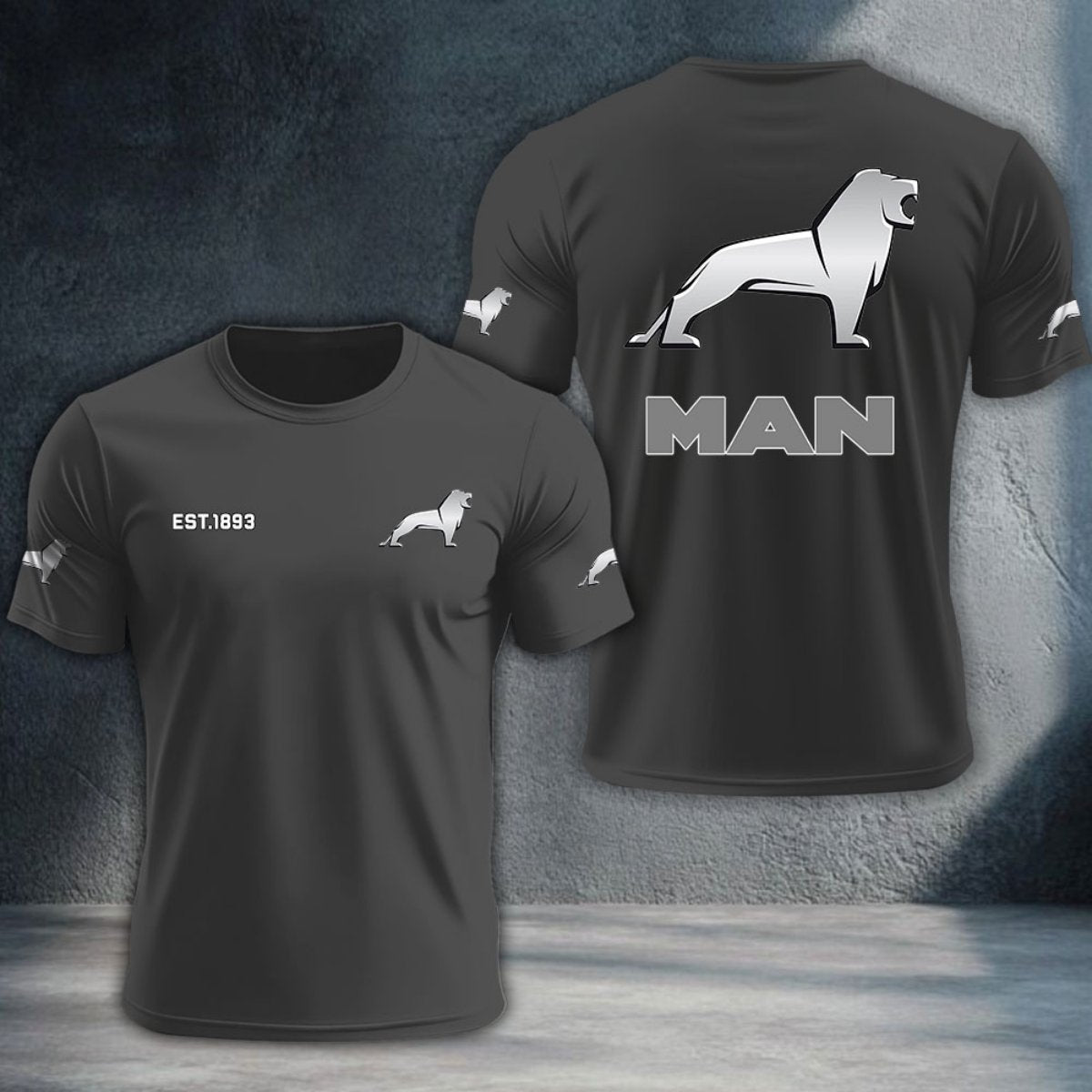 MAN Truck DTNTA10147