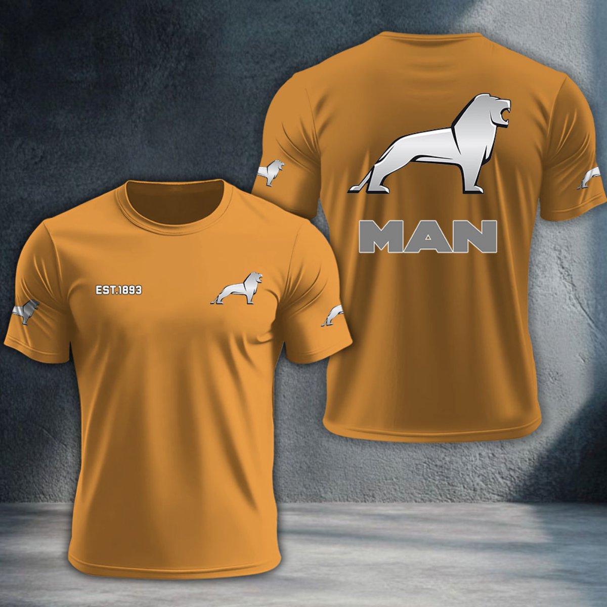 MAN Truck DTNTA10147