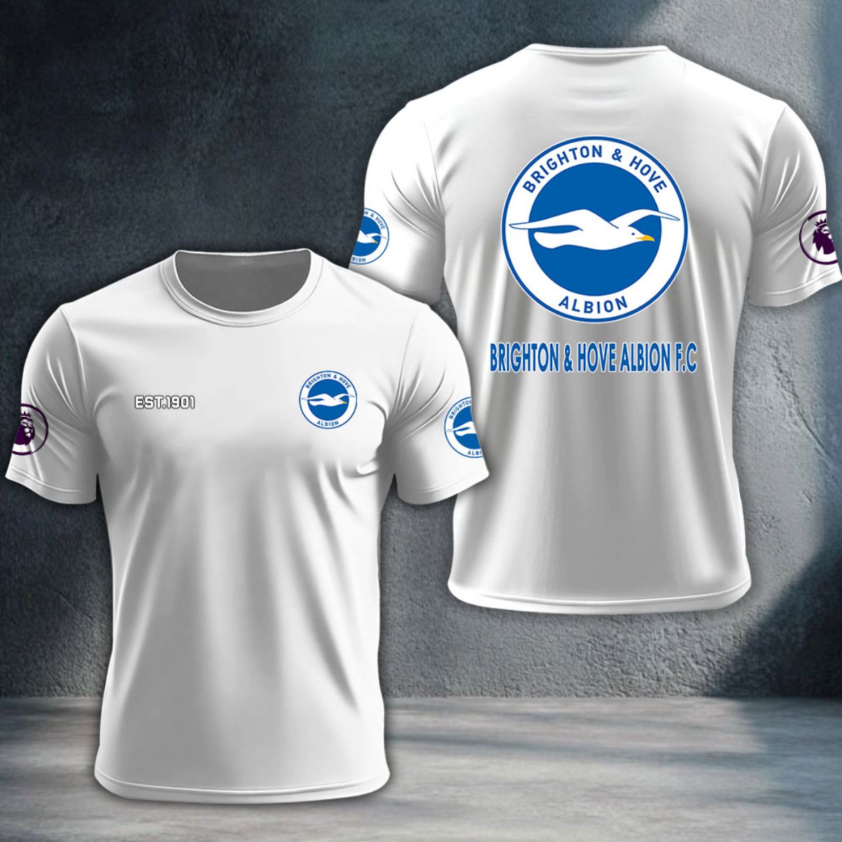 Brighton & Hove Albion DTNTA10196