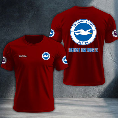 Brighton & Hove Albion DTNTA10196