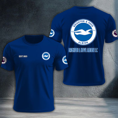 Brighton & Hove Albion DTNTA10196