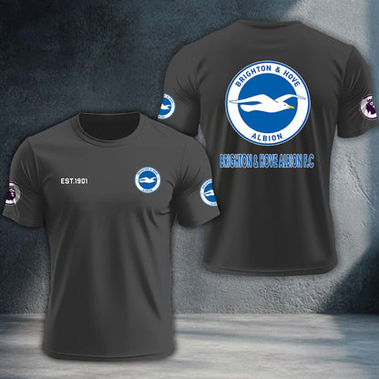 Brighton & Hove Albion DTNTA10196
