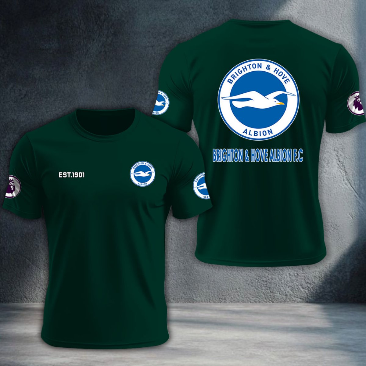 Brighton & Hove Albion DTNTA10196