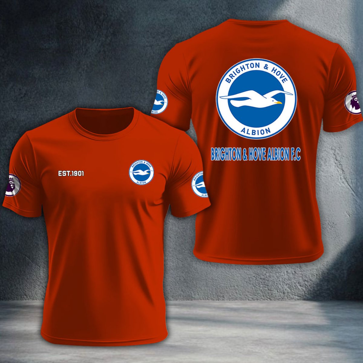 Brighton & Hove Albion DTNTA10196