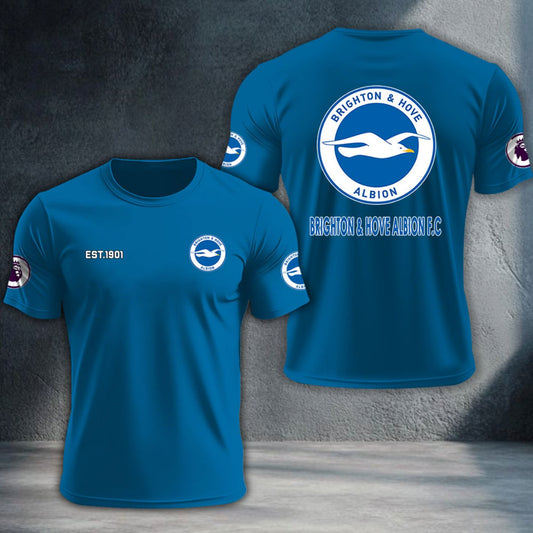 Brighton & Hove Albion DTNTA10196