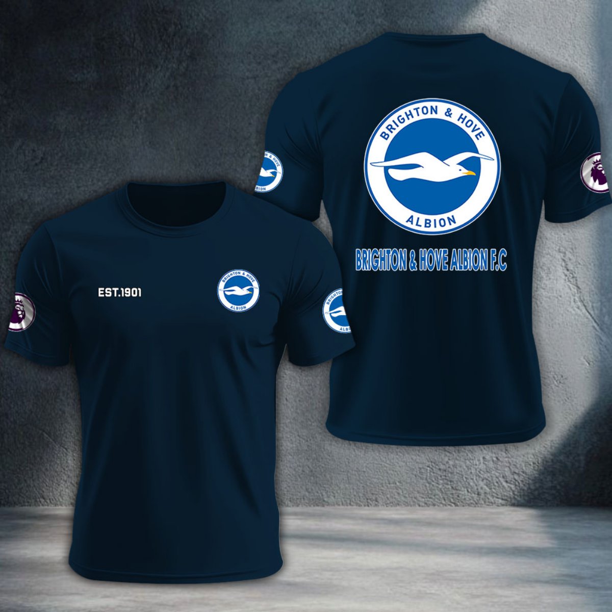Brighton & Hove Albion DTNTA10196