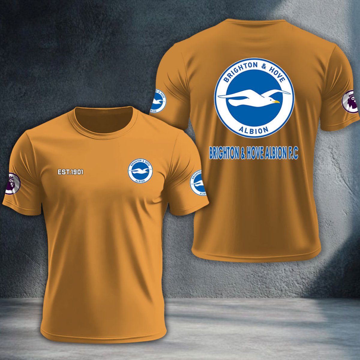 Brighton & Hove Albion DTNTA10196