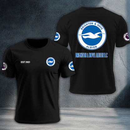 Brighton & Hove Albion DTNTA10196