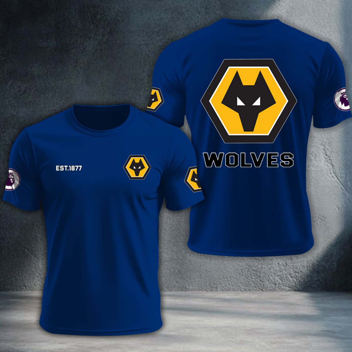 Wolverhampton Wanderers DTNTA10211