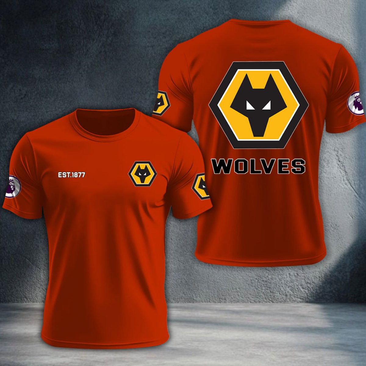 Wolverhampton Wanderers DTNTA10211