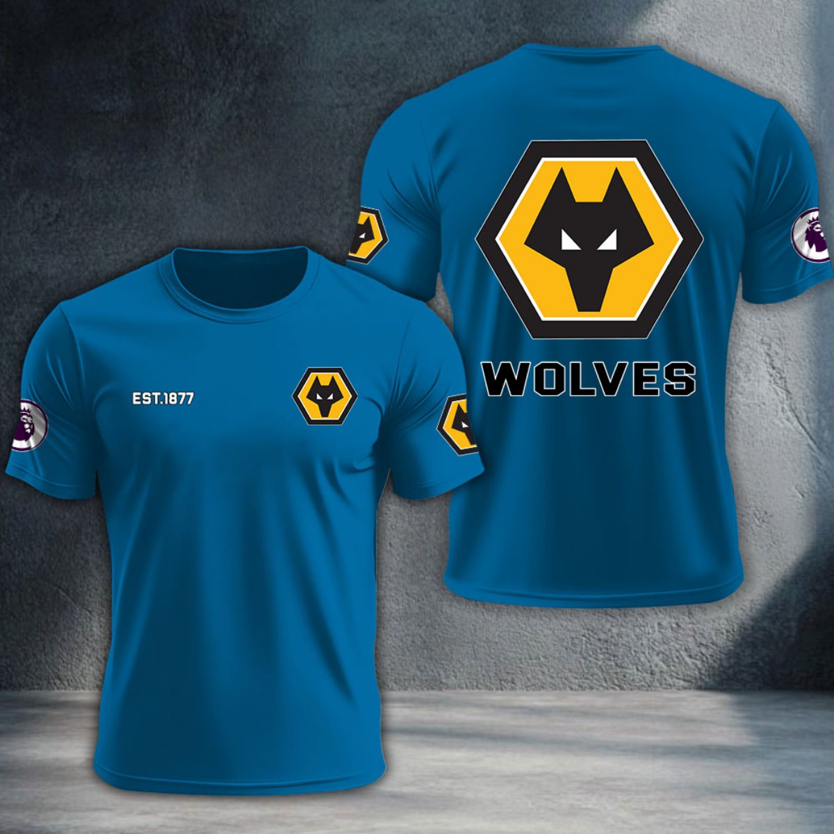 Wolverhampton Wanderers DTNTA10211
