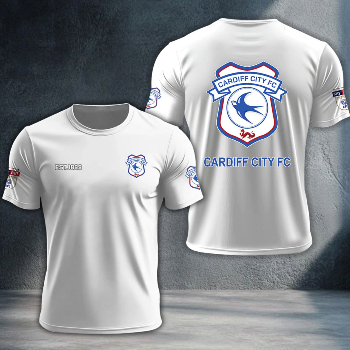 Cardiff City DTNTA10215