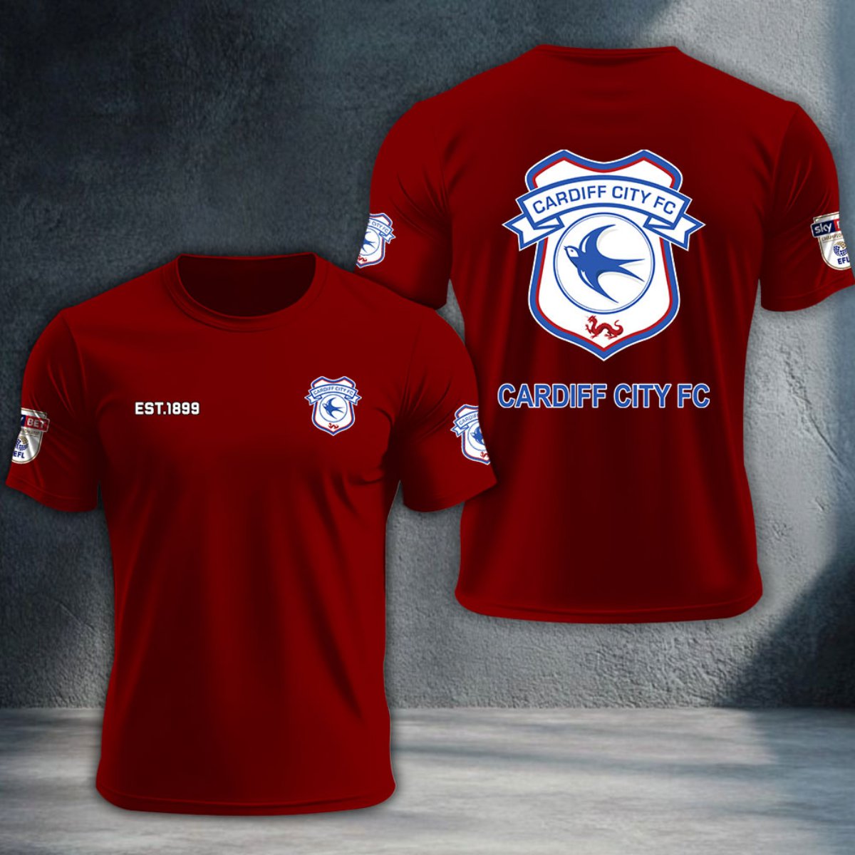 Cardiff City DTNTA10215