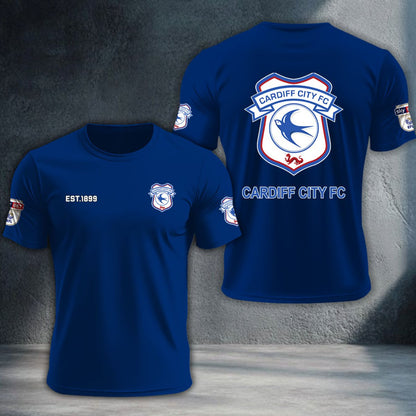 Cardiff City DTNTA10215