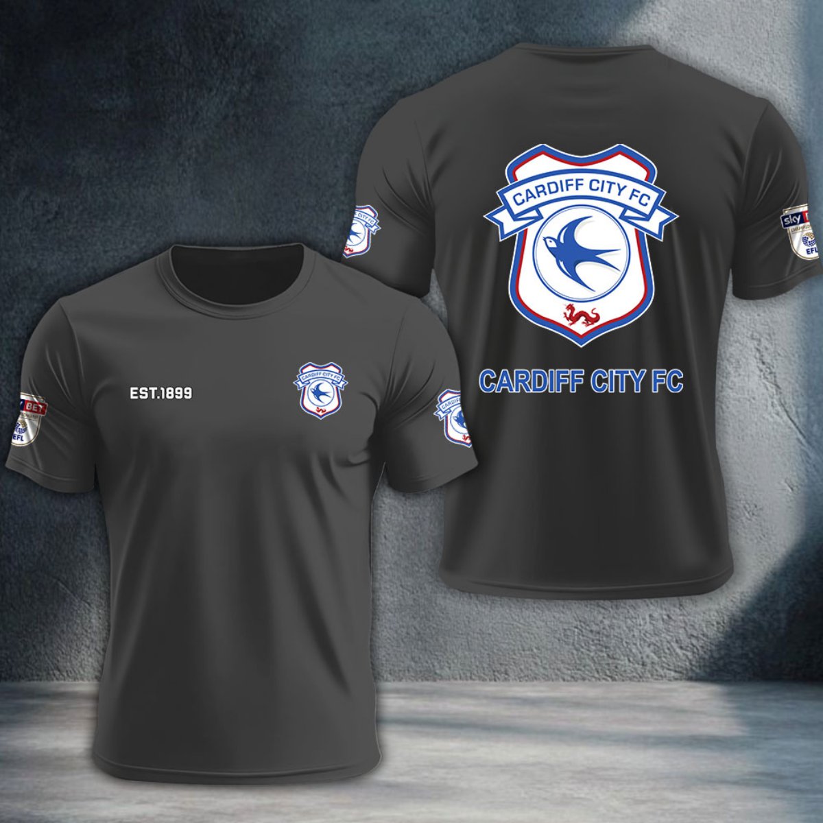 Cardiff City DTNTA10215