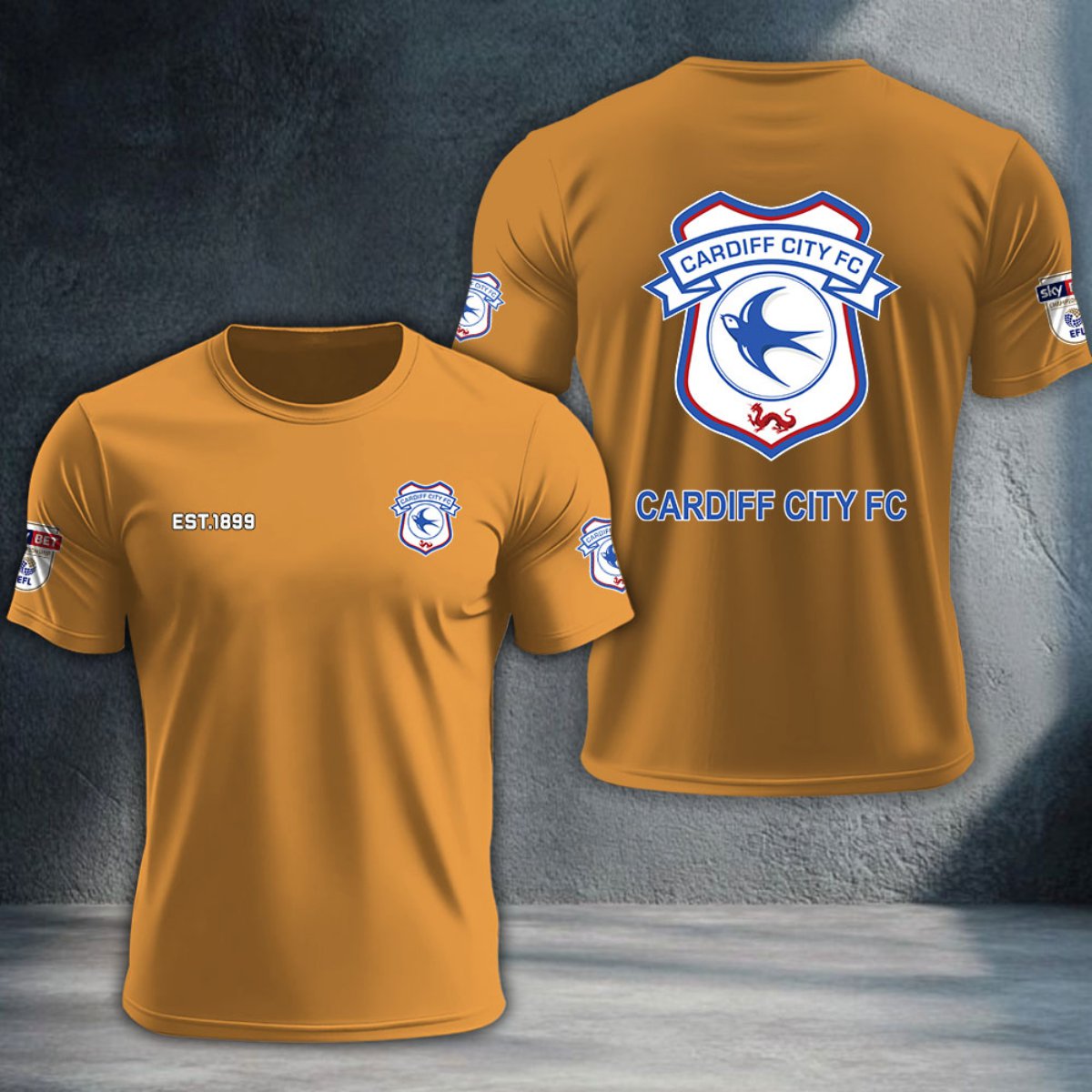 Cardiff City DTNTA10215