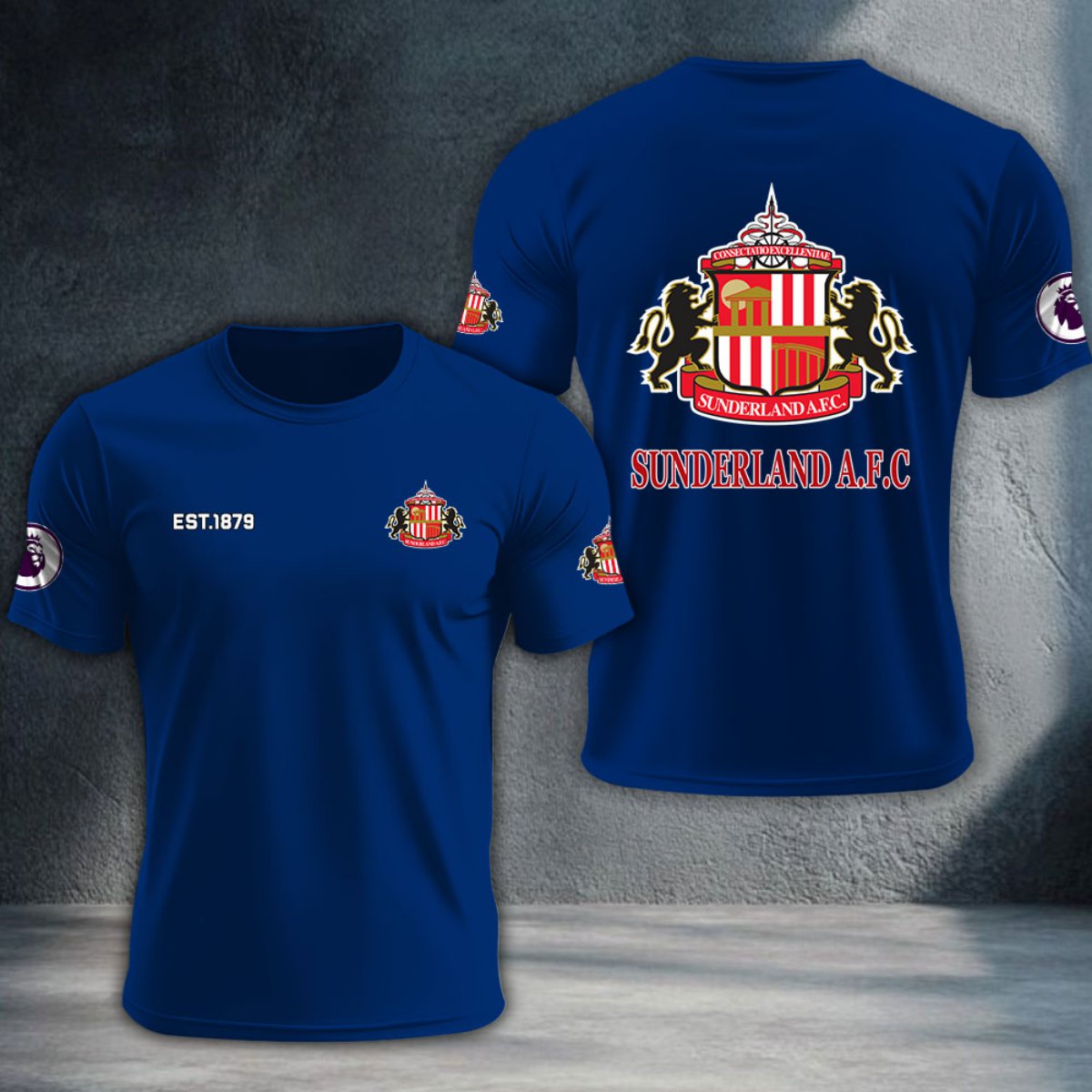 Sunderland DTNTA10232