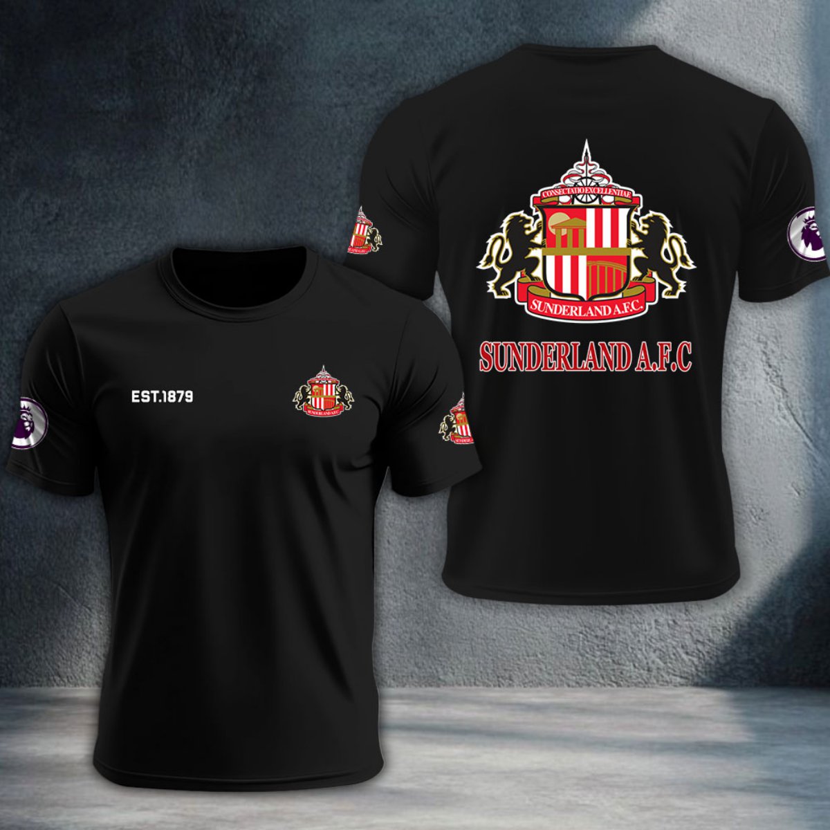 Sunderland DTNTA10232