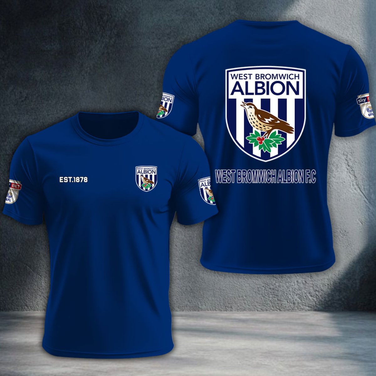 West Bromwich Albion DTNTA10235