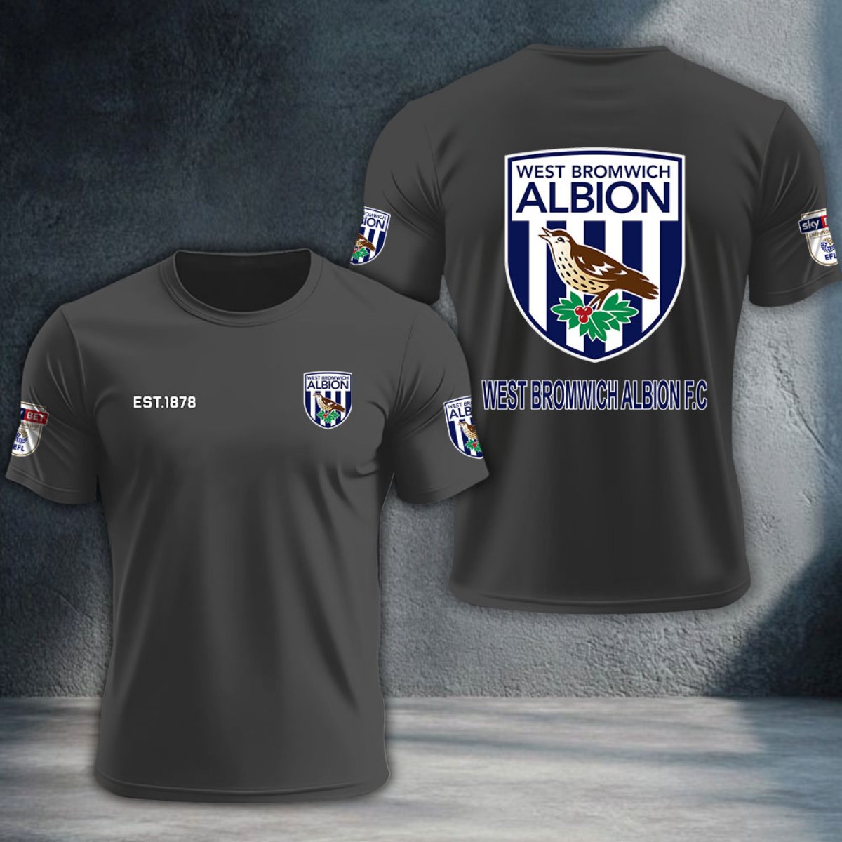 West Bromwich Albion DTNTA10235