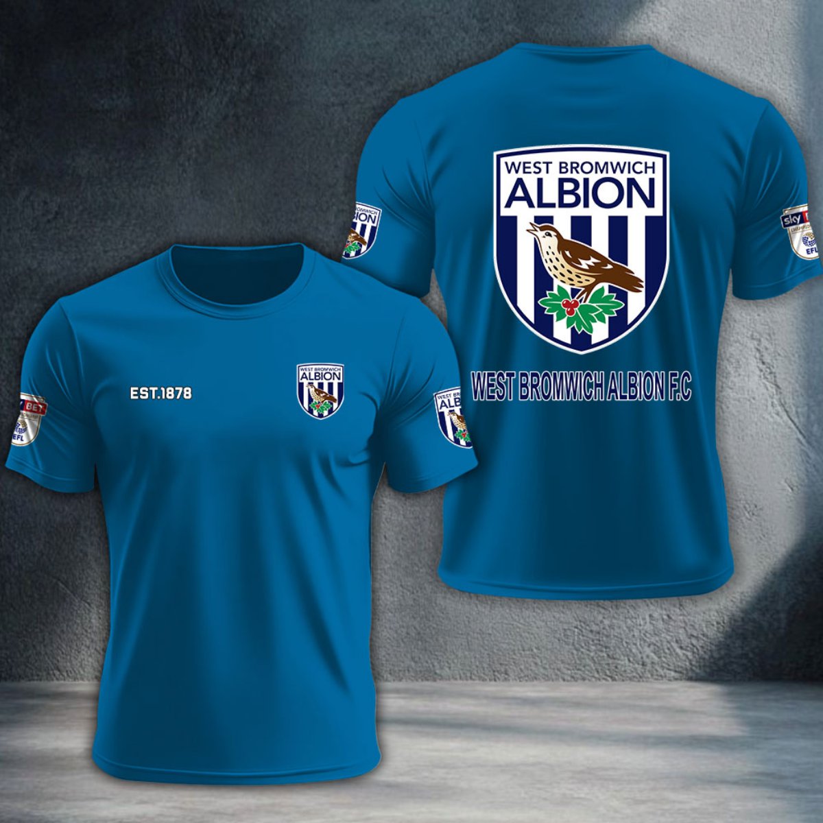 West Bromwich Albion DTNTA10235