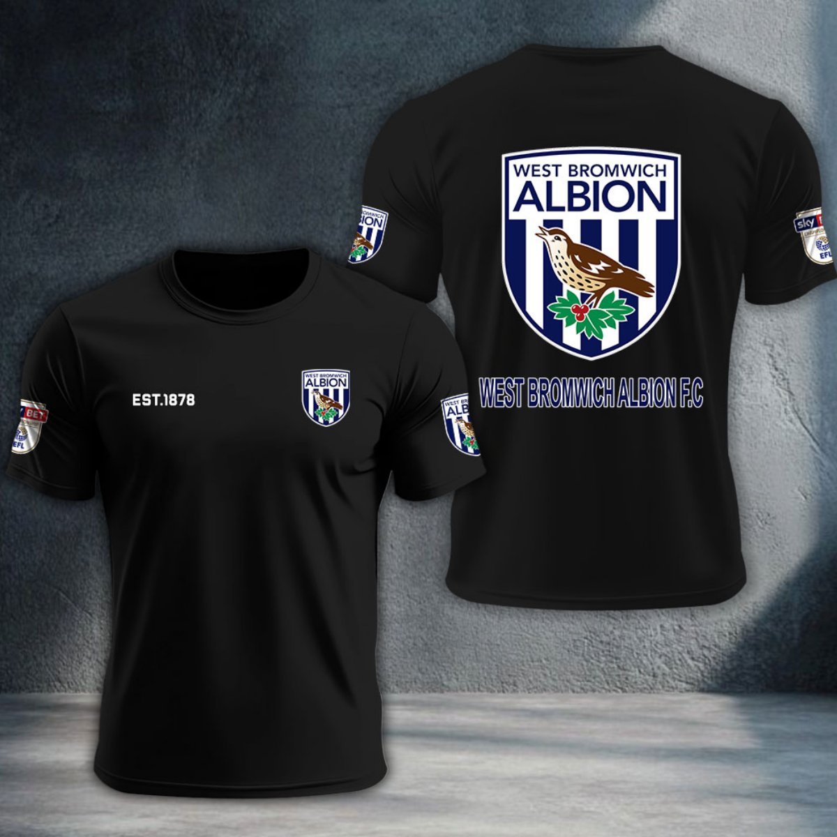 West Bromwich Albion DTNTA10235