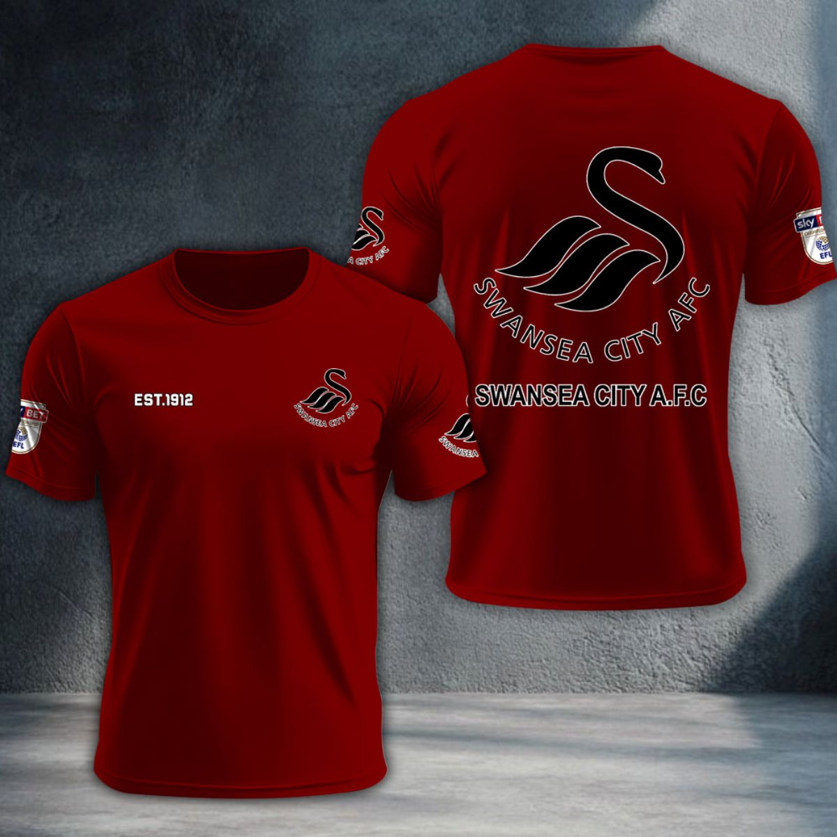 Swansea City DTNTA10233