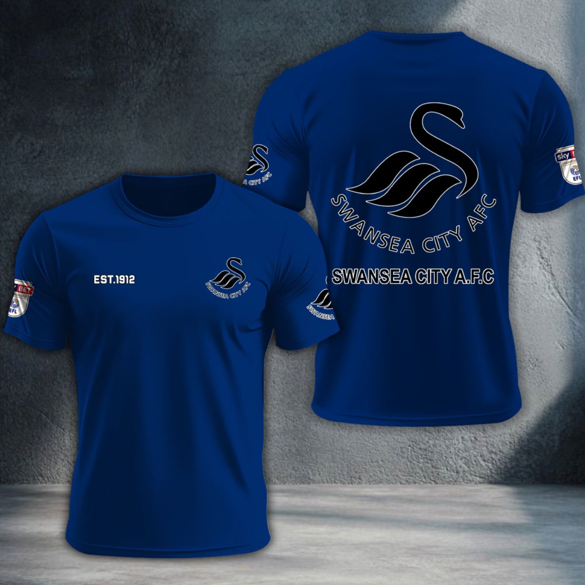 Swansea City DTNTA10233