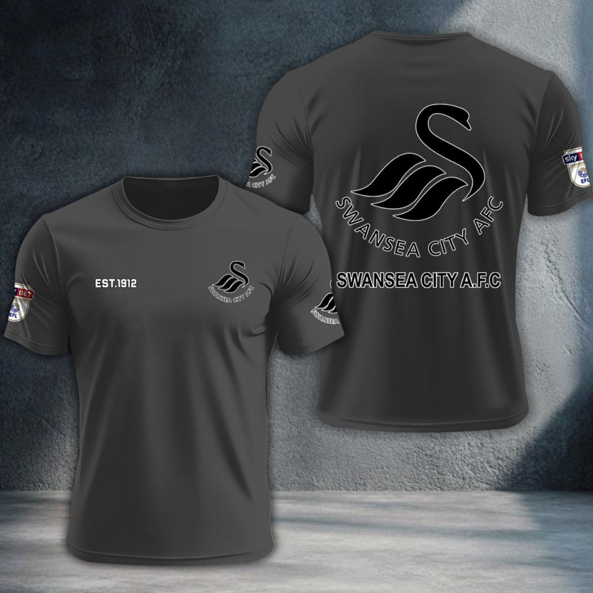 Swansea City DTNTA10233